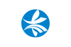 Flag of Kizugawa