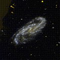 NGC 4536 by GALEX (ultraviolet)