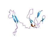 1zk9: NF-kB RelB forms an intertwined homodimer