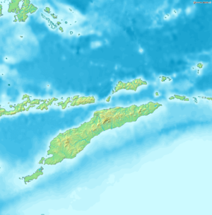 Kefamenanu is located in Timor