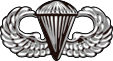 Airborne Badge