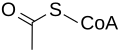 acetyl CoA