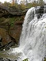 Brandywine Creek (Cuyahoga River tributary)*