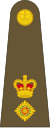 Lieutenant-colonel