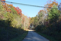 Forested road south of Carbon Hill