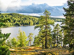View from Hill Satasarvinen in Muuratsalo, Jyväskylä