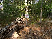 Observation post