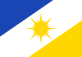 巴西托坎廷斯州旗