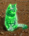 A glowing cat (for some reason)