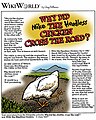 Why did the chicken cross the road? Mike the Headless Chicken