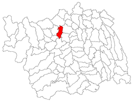 Location in Bacău County