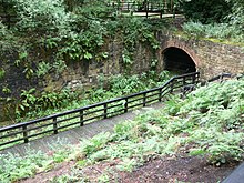A plant-covered brick tunnel entrance in a gully-like pit