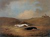 Greyhounds coursing a hare, Dean Wolstenholme