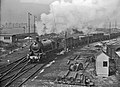 Locomotive NS 5018 (ex-WD 73689) with a goods train in the yard of Susteren.