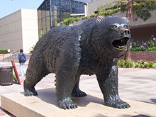 The statue of the UCLA Bruin, on Bruin Walk. The statue was designed by Billy Fitzgerald.[112]