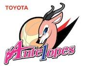 Toyota Antelopes logo