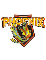Henan Phoenix logo