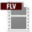 FLV file Icon from Adobe Systems