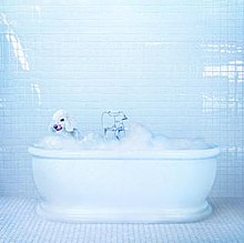 A dog in a bubblebath in front of a light blue tiled wall