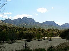 Northwestern view of the Catalina Mountains as seen from Catalina State Park in Oro Valley