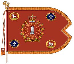 Regimental Guidon, 1982–present day