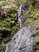 Triple Falls is around 35 feet tall.