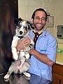 Border Collie pup at the veterinarian