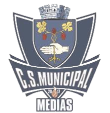 CSM Mediaș logo