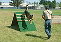 Schutzhund training