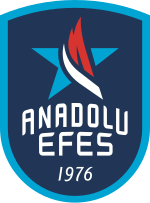 Anadolu Efes logo