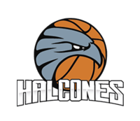 Halcones de Ciudad Obregón logo