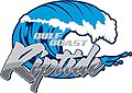 New Gulf Coast Riptide logo (2011–present)