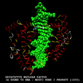 Hepatocyte nuclear factor 1A bound to DNA [1]