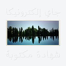 A photo of a swimming pool against a white background with "Jay Electronica" and "A Written Testimony" written in Arabic.