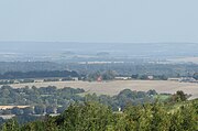 Wittenham Clumps