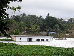 View of the destruction on Moneague lake during the 2006 flood