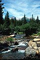 Creek At Fall River Pass