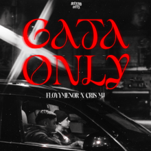 Two men inside a car with red text above read as "Gata Only".