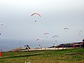 Paragliders(this was from my trip to Torrey Pines Gliderport)