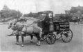 Photograph of a horse drawn Bromo-Seltzer wagon.