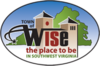 Official logo of Wise