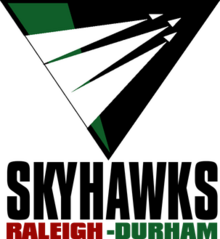 Team logo