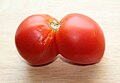 "Twin" tomatoes