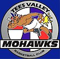 Tees Valley Mohawks logo