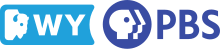 On the left, a badge on a sky blue background containing a stylized buffalo head and the letters WY in white, next to the PBS logo in royal blue and white