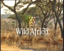 Wild Africa title card