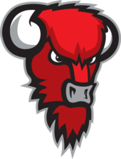 LoKoKo Bisons Loimaa logo