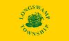 Flag of Longswamp Township