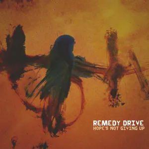 File:Remedy drive hopes not giving up.webp