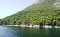 The Kalamos Island pine forest, an internationally important area for birds, in the background, with the edge of the inner Ionian marine protected area waters in the foreground.